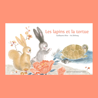 LAPINS TORTUE